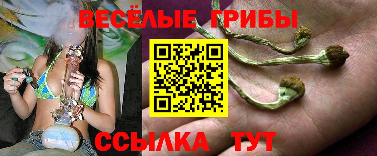 Галлюциногенные грибы мицелий  купить наркотик  Выкса  Вход с VPN 